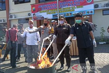 Polres Temanggung musnahkan ganja