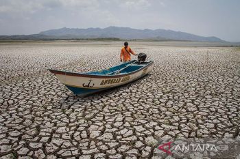 El Nino datang, tanah mulai kehilangan air