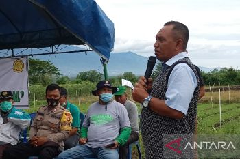 Seluas 135 Ha lahan pertanian terdampak gempa di Sigi digarap lagi