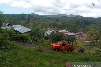 BNPB sebut fenomena pergerakan tanah ancam 200 jiwa di Manggarai Barat