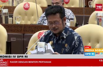 Mentan: Ketersediaan pangan pokok jelang Ramadan aman