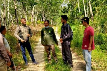 BKSDA Jambi telusuri jejak kaki harimau di Bajubang Batanghari