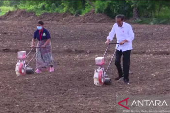 Presiden harapkan lahan baru penanaman jagung di NTT  terus bertambah