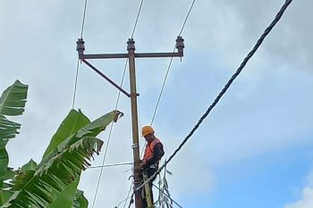 PLN Bajawa lakukan mitigasi kelistrikan hadapi angin kencang