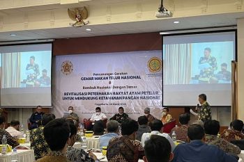 Peternak ayam petelur berharap jaminan dari pemerintah