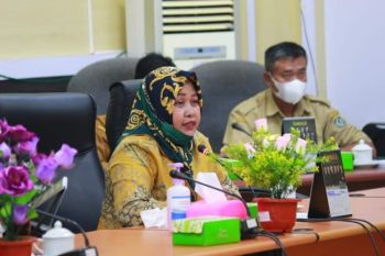 Legislator Seruyan minta ILPPD disampaikan kepada masyarakat