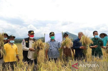 Bupati Pesisir Selatan optimis hilirisasi pangan untuk kemandirian daerah