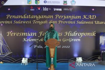 Dekranasda Palu  dorong UMKM manfaatkan akses pinjaman modal perbankan
