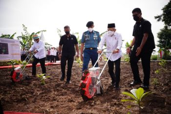 Wapres Ma'ruf tanam jagung dan kedelai di Purwakarta