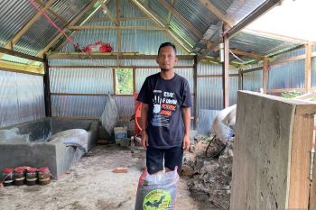 KPT ajak IRT manfaatkan pekarangan untuk budi daya tanaman pangan