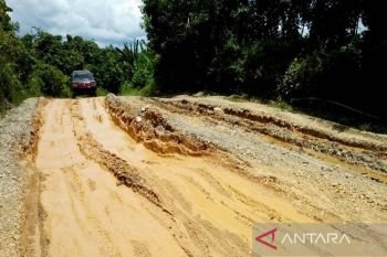 Ruas Jalan Lampeong - batas Kaltim rusak
