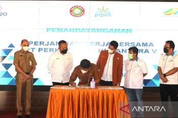 Pemprov Riau apresiasi hubungan Serikat Pekerja dan Manajemen PTPN V