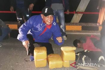 Bawa 14 kilogram ganja, BNNK Pasbar tangkap dua orang diduga pengedar