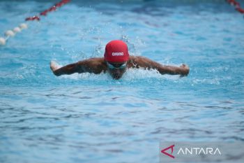 Rafflesia Swimming Club juara umum "Hammerheads Championship"