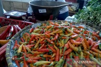 Harga sejumlah kebutuhan masyarakat di Banyumas turun