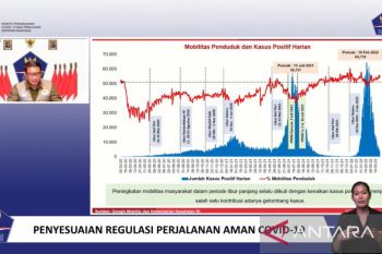 Pemerintah tidak lagi batasi mobilitas warga saat libur panjang