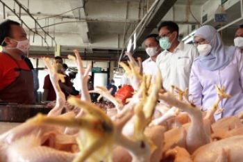 TPID pastikan stok pangan stabil menjelang Ramadhan
