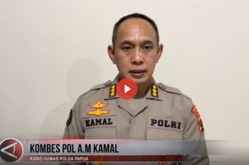 Berita saat 8 pekerja BTS tewas ditembak di Puncak Papua
