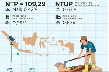 NTP Sulsel naik 0,50 persen pada periode Maret 2022