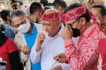 Kacang koro akan gantikan kacang kedelai