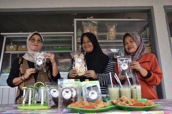 Kelompok Budidaya Jamur Tiram dan Magot Limau Manis Bangkit di Tengah Pandemi
