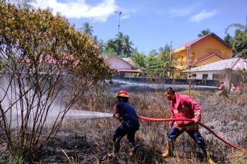 Empat kebakaran lahan landa Pariaman semenjak akhir Maret 2022 akibat kemarau