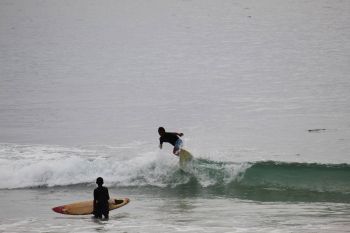 Lampung gelar Kejuaraan Surfing Internasional Krui Pro guna pulihkan pariwisata