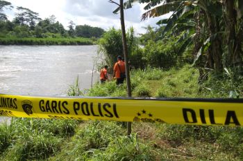 16 orang ditangkap terkait pembunuhan karyawan PT IWIP Malut