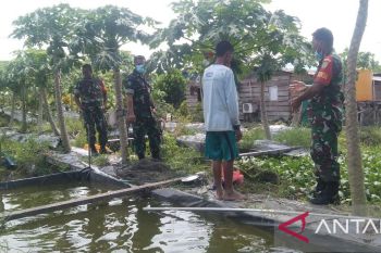 Babinsa Timika beri dukungan petani-peternak kembangkan usaha