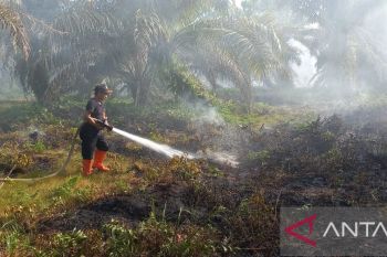 Bupati Agam terbitkan SE pencegahan-pengurangan resiko bencana karhutla