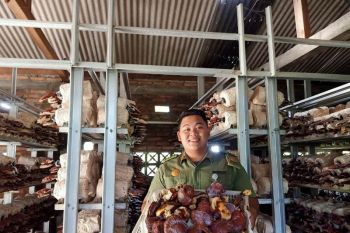 Mahasiswa Polbangtan Kementan sukses jadi agrosociopreneur