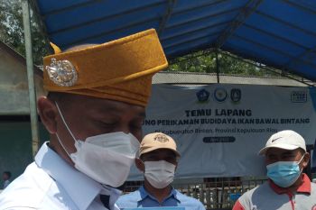 Nelayan Tanjungpinang kesulitan mendapatkan solar