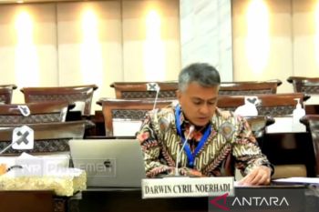 Cyril: Penanganan masalah IKNB termasuk "fintech" harus berbeda