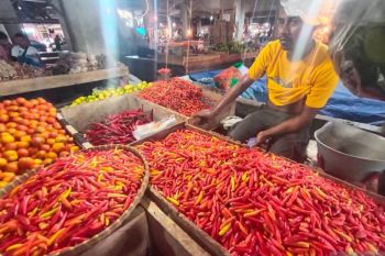 Harga cabai di Kota Kupang tembus Rp110 ribu/kg