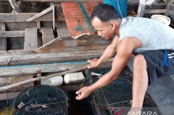 Tauke atur harga ikan, nelayan Bintan sulit sejahtera