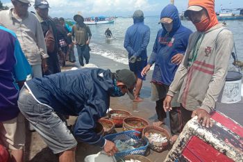 Harga ikan di TPI Beba melambung sejak awal Ramadhan