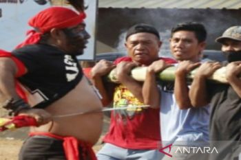Peringati perjuangan Pattimura warga Maluku di Kendari gelar "Bambu Gila"