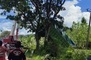 Kecemacetan Jalinsum di Lampung Selatan akibat evakuasi truk terperosok ke jurang