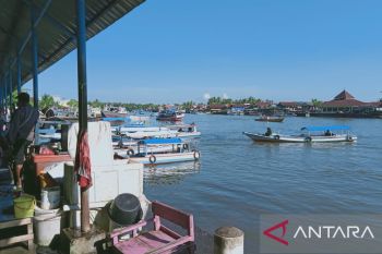 Kelangkaan solar pengaruhi produksi ikan tangkap nelayan Makassar