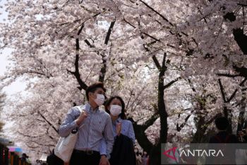 Korea Selatan  cabut hampir semua aturan COVID-19