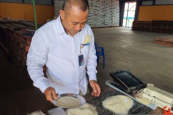 Bulog Makassar: Stok beras aman hingga 9 bulan ke depan