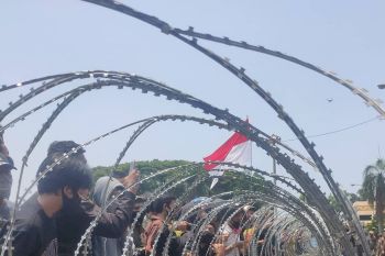 LBH Bandarlampung buka posko aduan penyampaian kebebasan berpendapat