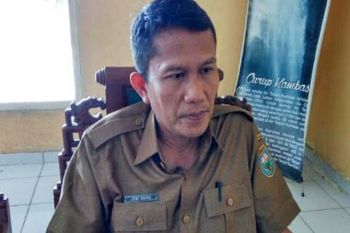 Dinas Pertanian OKU anggarkan bantuan bibit kapulaga