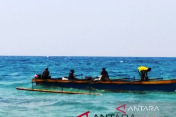 Pemkab Biak nilai potensi perikanan jadi andalan ekspor luar negeri