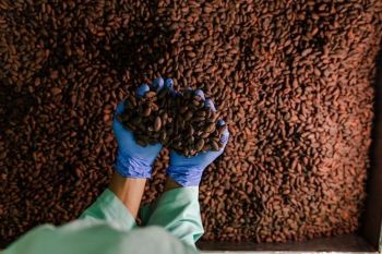 Wahana Interfood berhasil raup laba bersih sebesar Rp8,53 miliar sepanjang 2021