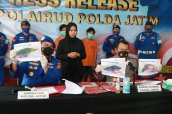 Polairud Jawa Timur gagalkan perdagangan burung dilindungi
