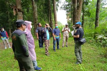 Danone-Aqua bersama TNGHS jalin kerja sama pelestarian TN Gunung Halimun Salak