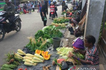 Pemerintah bantu 1.200 PKL di Kabupaten Jayawijaya