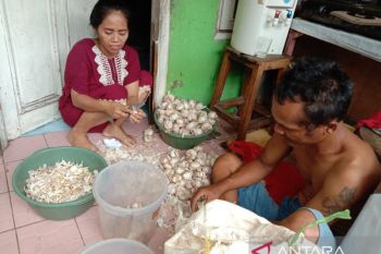 Kisah pengupas bawang peroleh fidyah