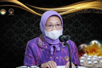 KKP ungkapkan keunggulan Mutiara Laut Selatan Indonesia